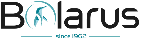 Bolarus